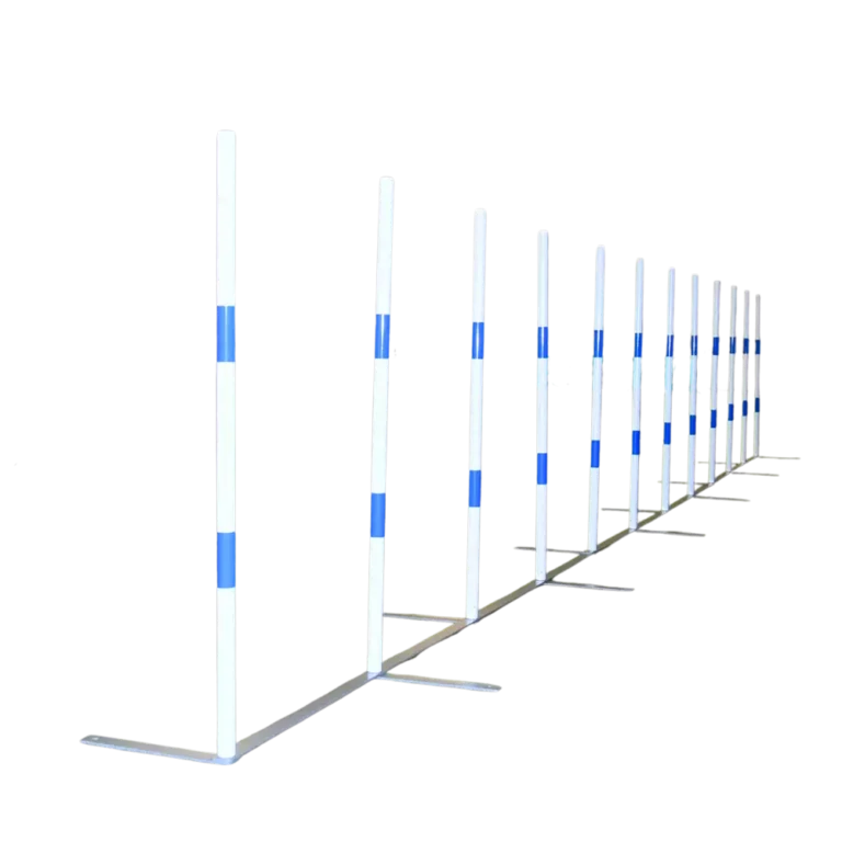 Slalom-Competition-ppal